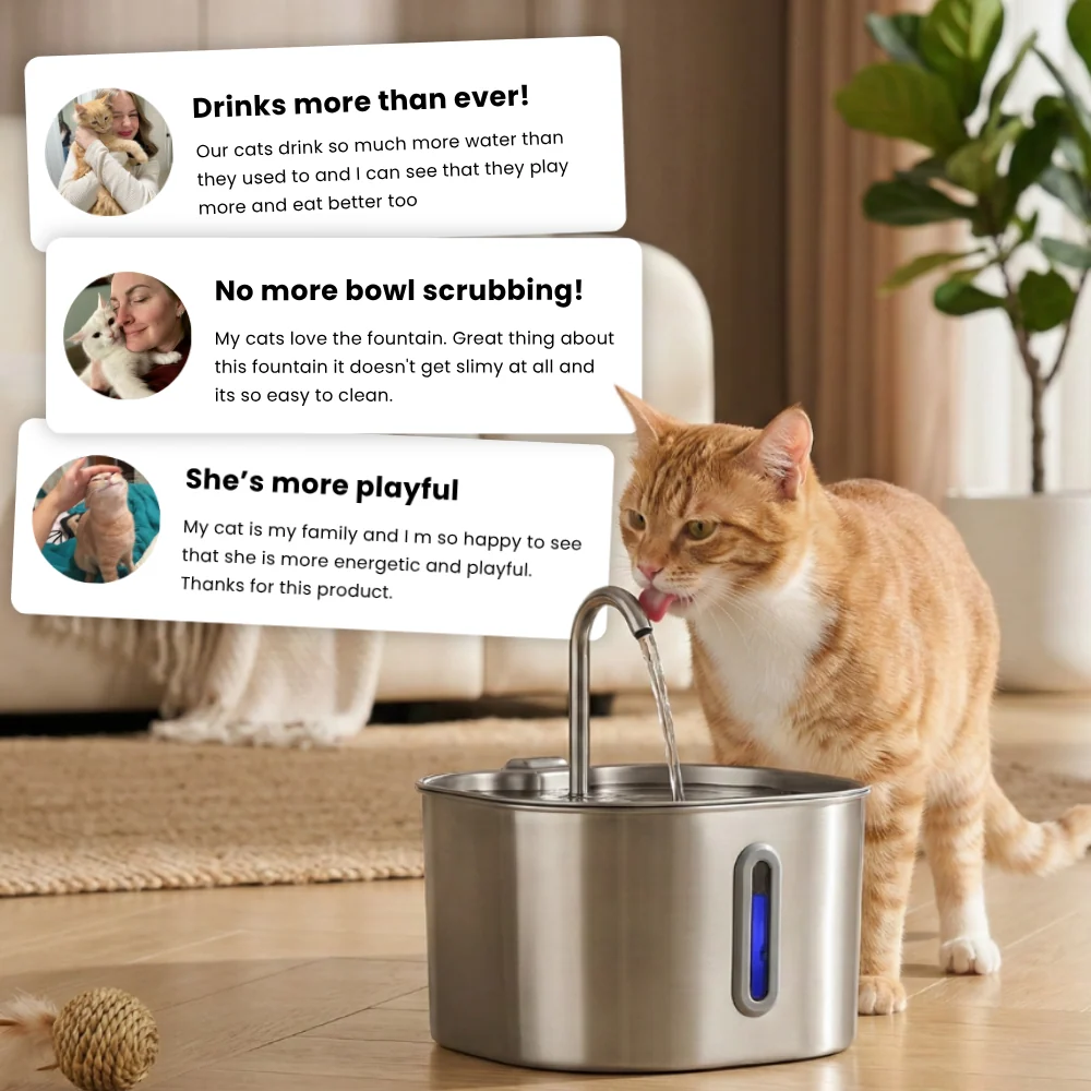 The KittySpout™ - 2.2L Fountain 2–month Kit