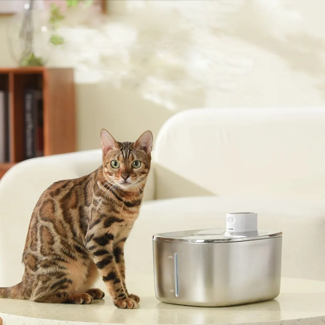 Filtri di ricambio wireless KittySpout con rimozione del 99% delle impurità