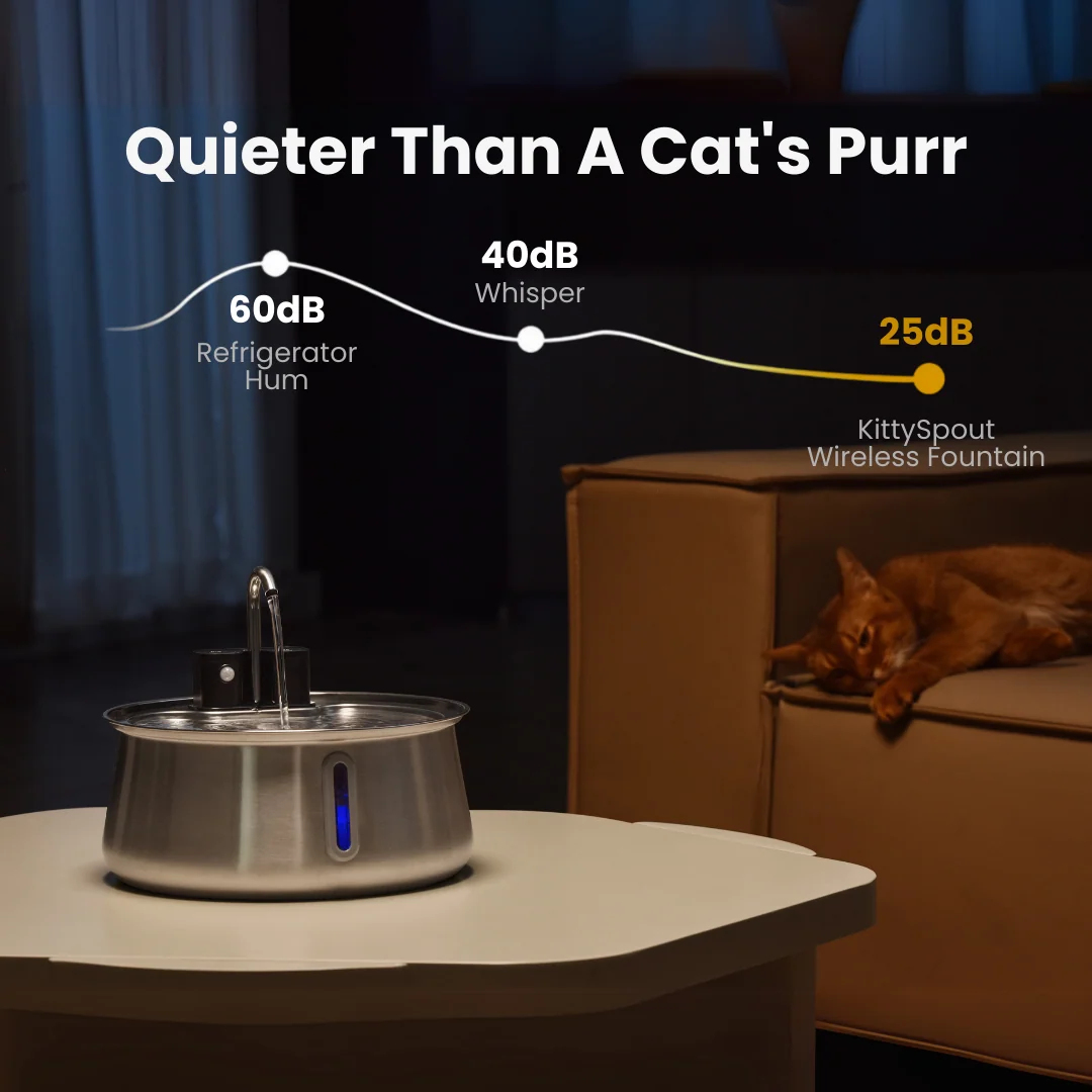 KittySpout Wireless Fountain 2.0 Two-Month Supply Kit