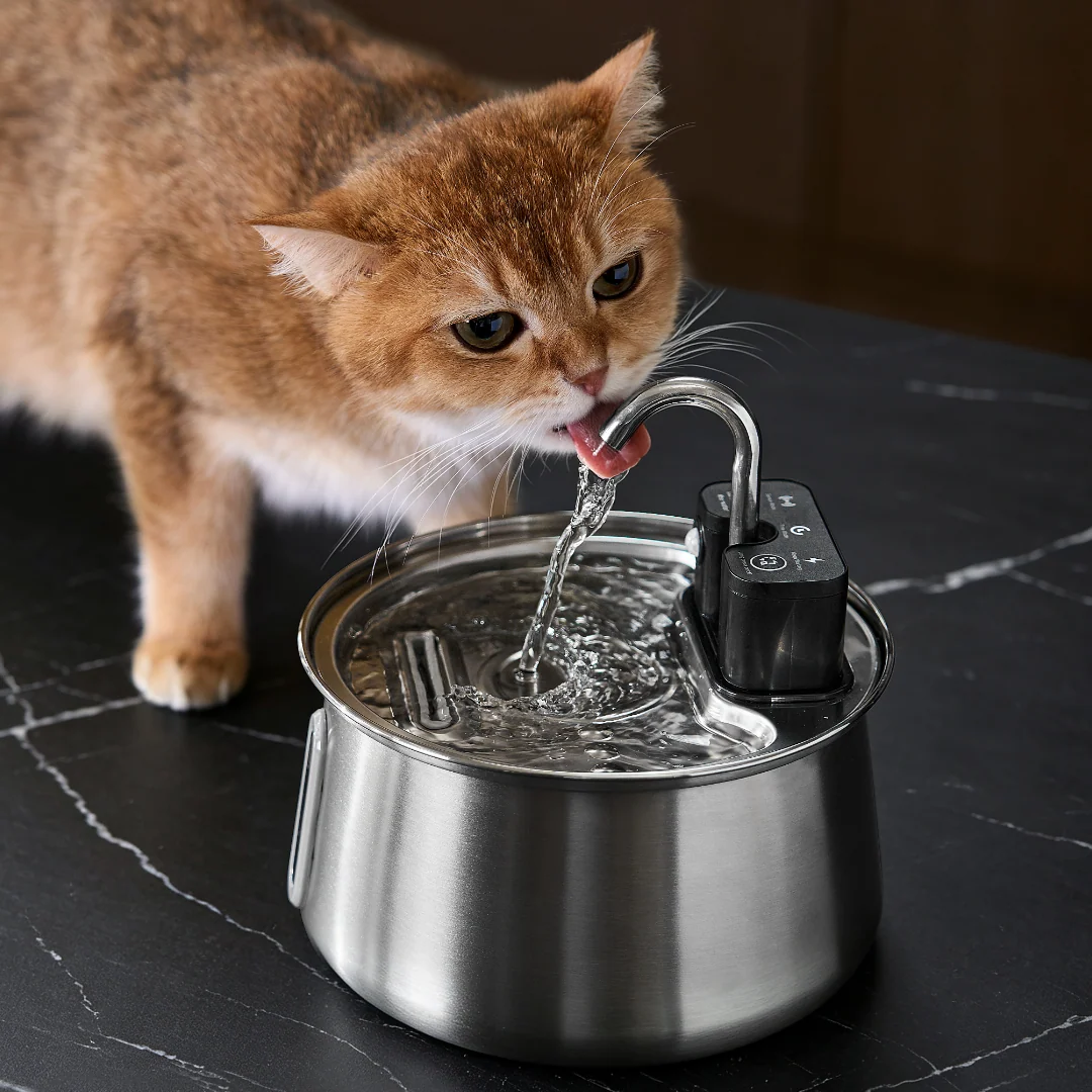 The KittySpout Luna Wireless Cat Fountain, Our Newest Fountain