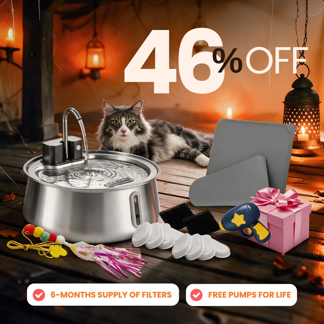 Purrrfect KittySpout Kit for Health and Happiness