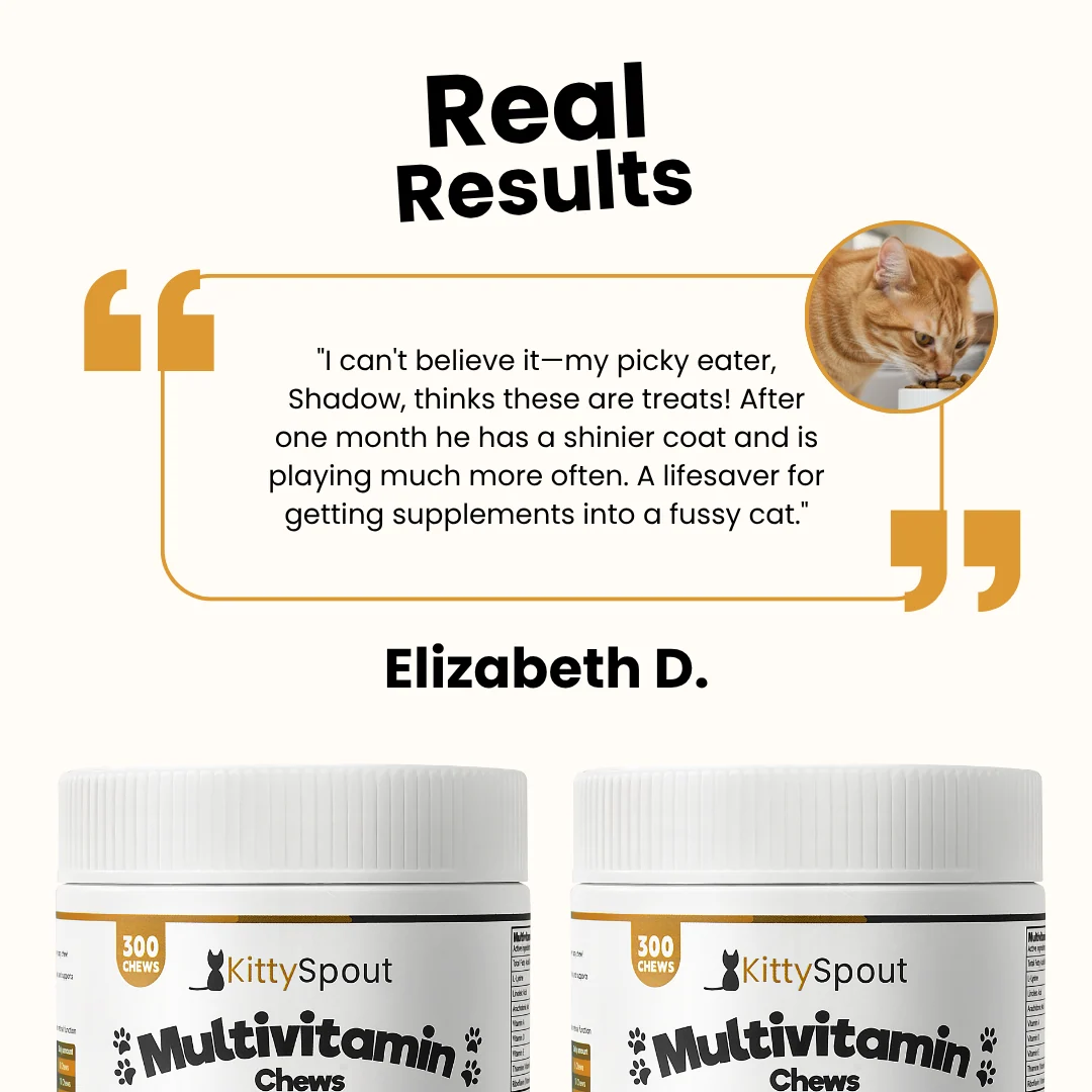KittySpout Multivitamin Chews for Cats, Daily Treat Form
