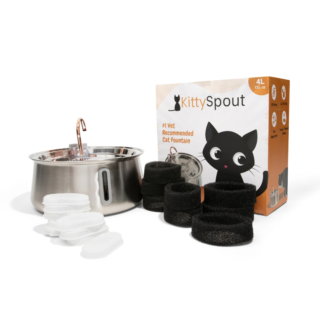 The KittySpout 2.0 Health & Happiness Cat Kit for Daily Care