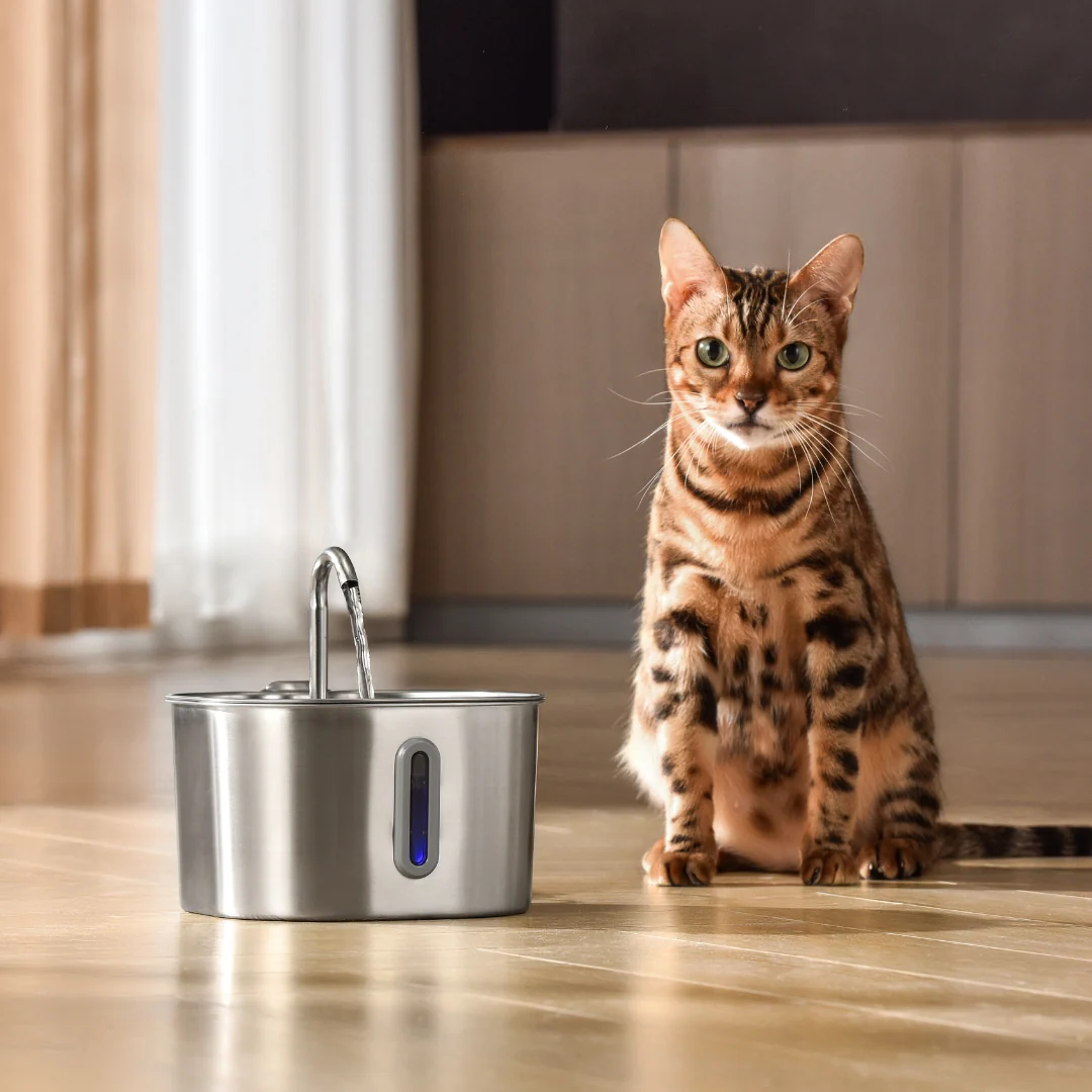 The KittySpout™ - 2.2L Fountain