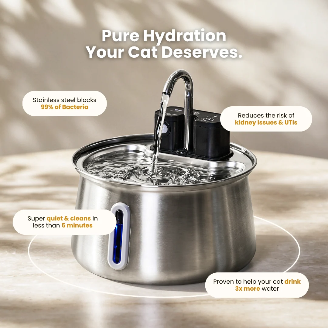 The KittySpout Luna Wireless Cat Fountain, Our Newest Fountain