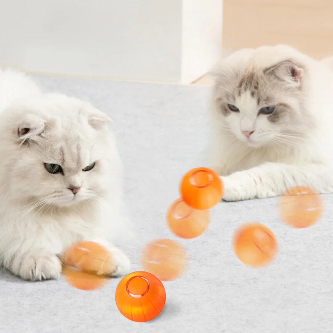 The KittyBall™ Smart Cat Ball for Playtime