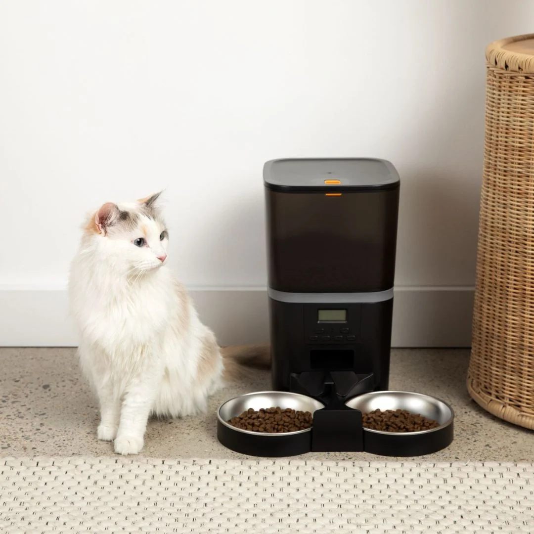 KittyFeeder™ automatisk kattefoderautomat til katte
