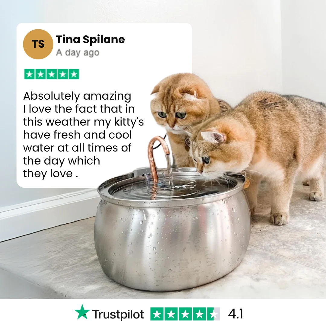 KittySpout Health & Happiness Cat Kit Bundle
