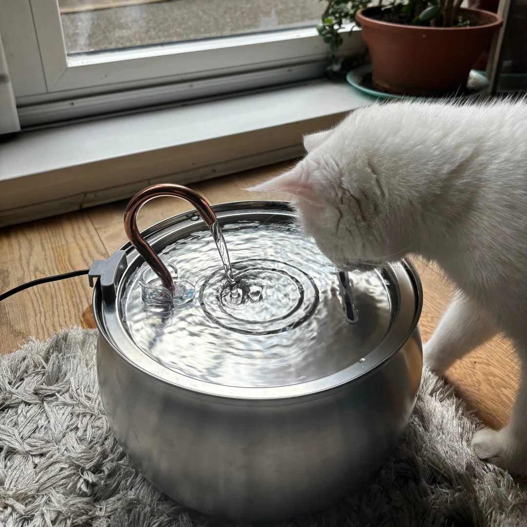 KittySpout Replacement Water Spout for Fountains, Pick Your Model