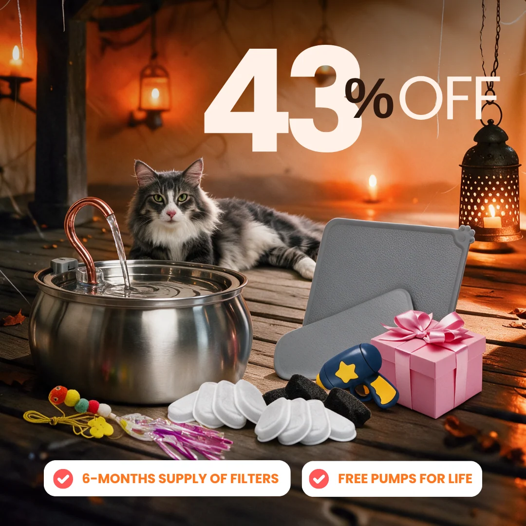 Purrrfect KittySpout Kit for Health and Happiness