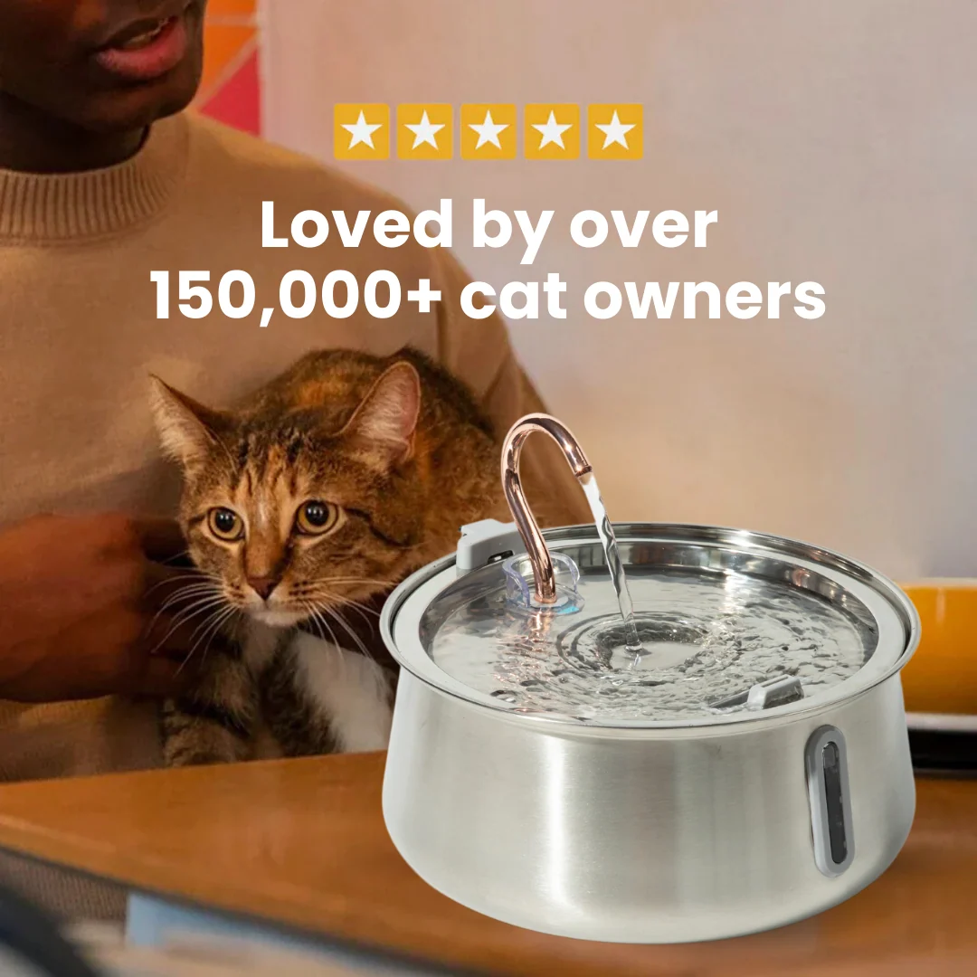 The KittySpout 2.0 Health & Happiness Cat Kit for Daily Care