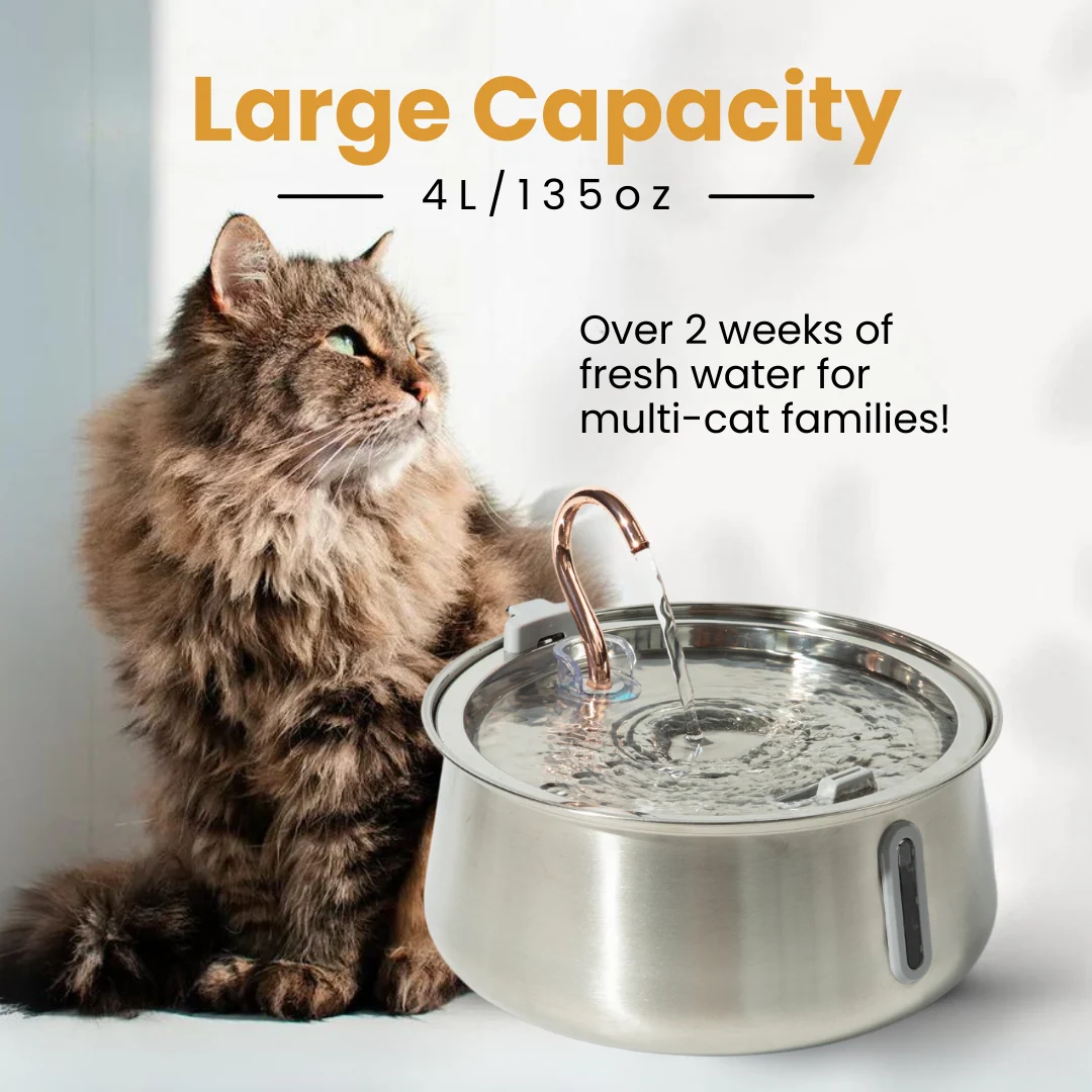 The KittySpout 2.0 Health & Happiness Cat Kit for Daily Care