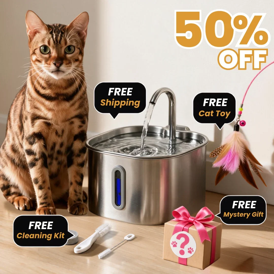 The KittySpout™ - 2.2L Fountain 2–month Kit