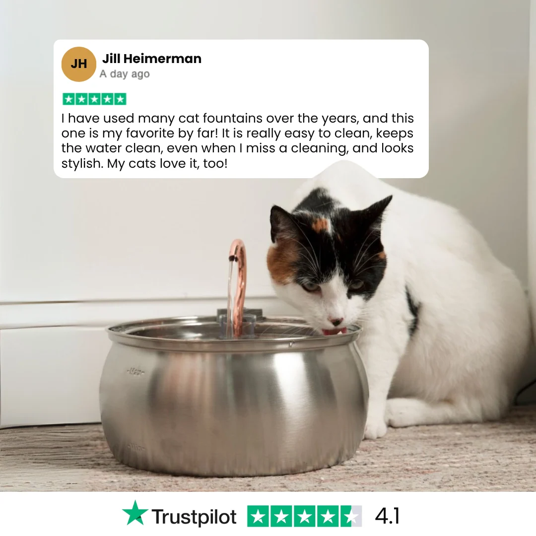 KittySpout Health & Happiness Cat Kit Bundle