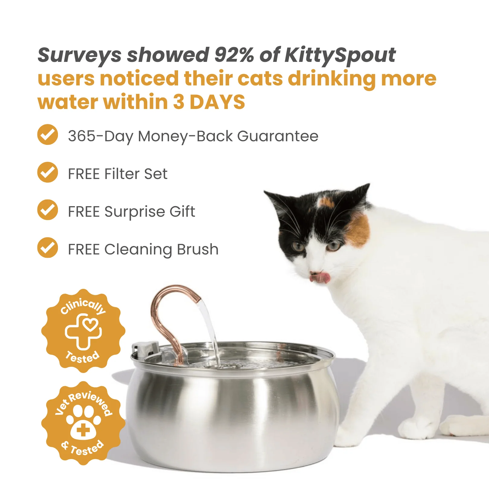 KittySpout Health & Happiness Cat Kit Bundle
