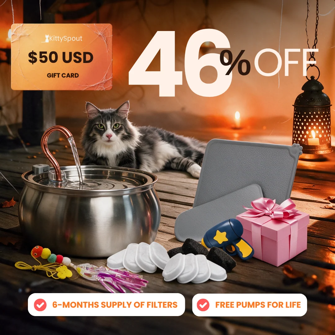 Bundle convenienza KittySpout: il nostro bundle per gatti più conveniente