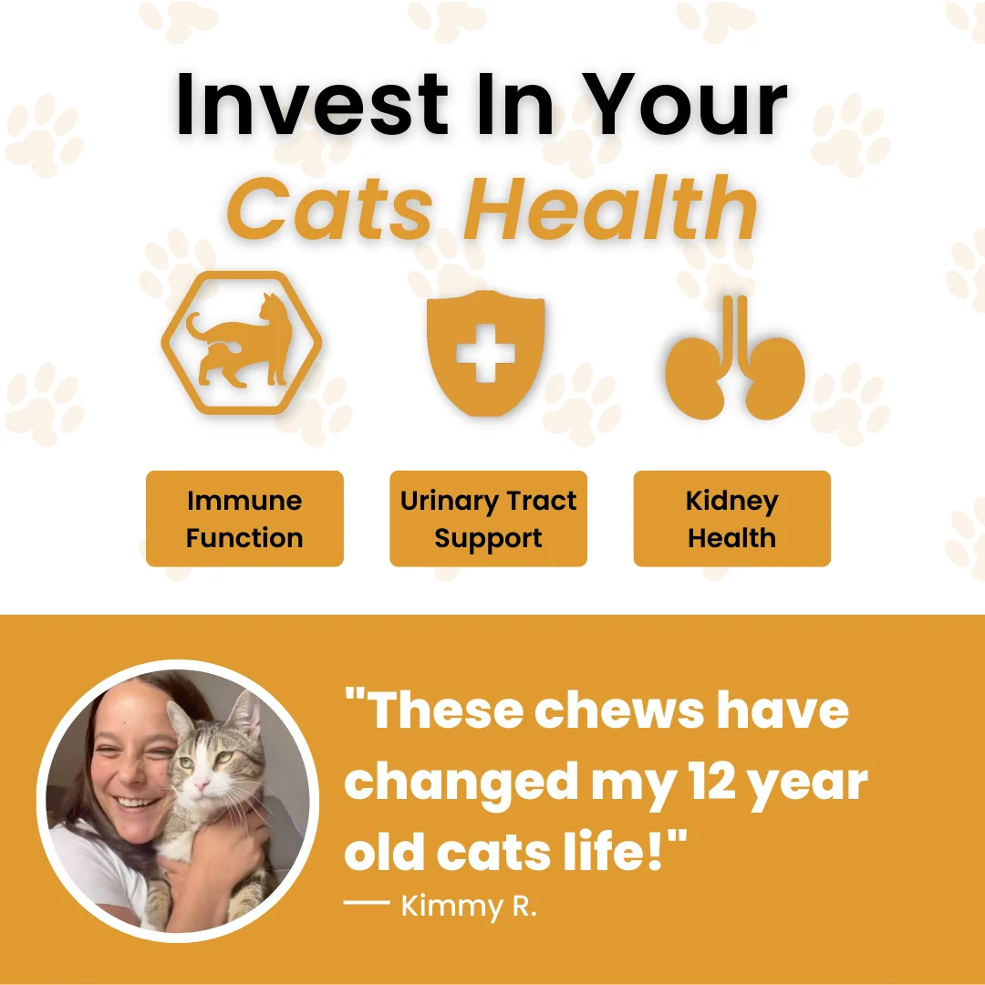 Bladder & Kidney Support Chews with Natural Ingredients for Cats
