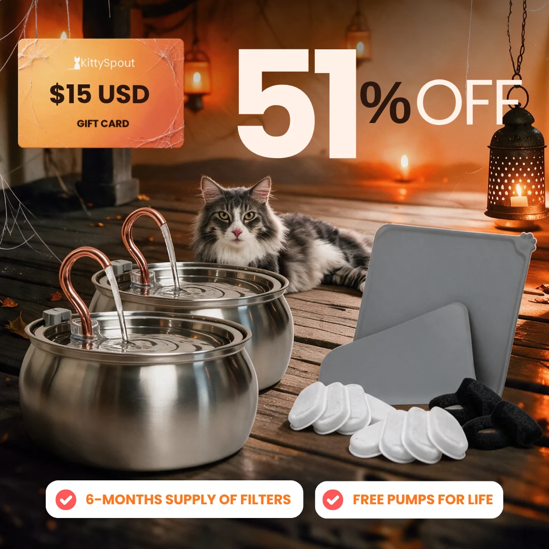 Big Cat Family Bundle: Health and Happiness Kit for Multi-Cat Homes