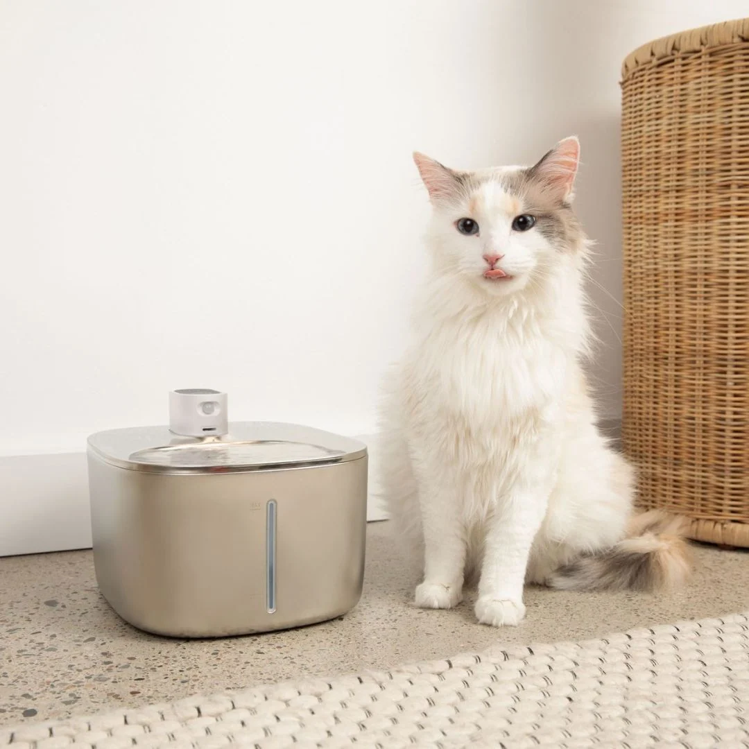 Fountain Kits