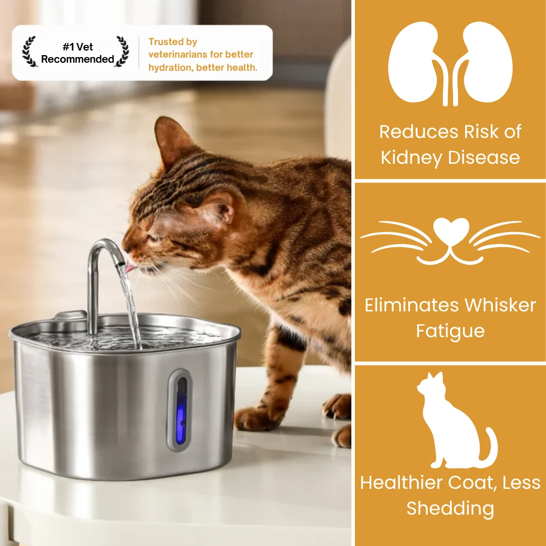KittySpout™ 2.2L Compact Fountain Health and Happiness Kit