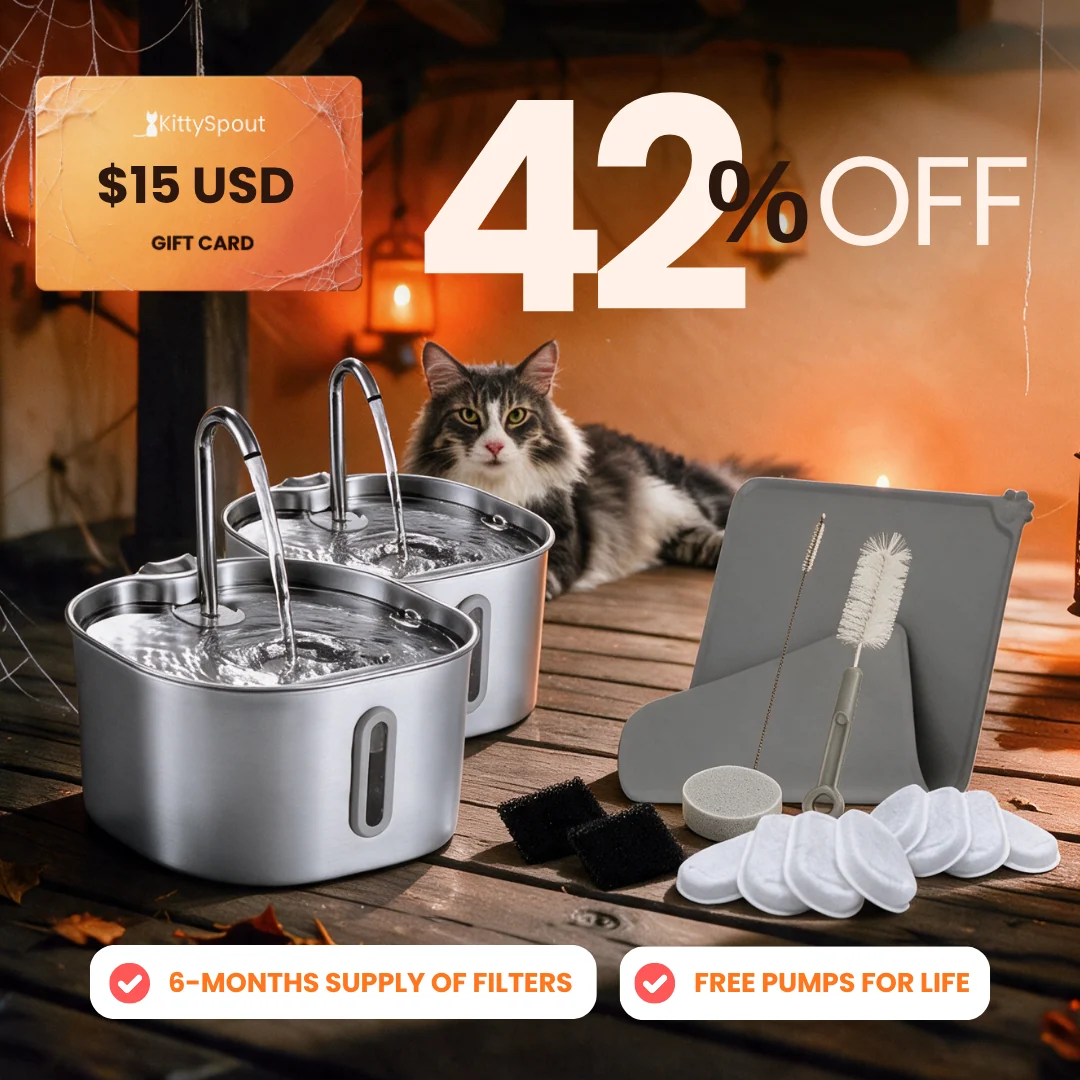 Big Cat Family Bundle: Health and Happiness Kit for Multi-Cat Homes