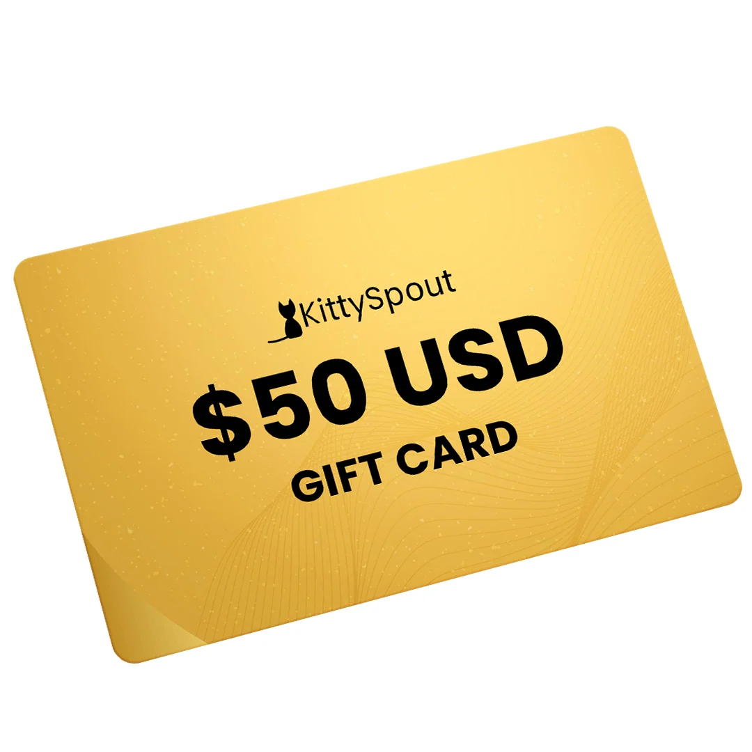 Bundle convenienza KittySpout: il nostro bundle per gatti più conveniente