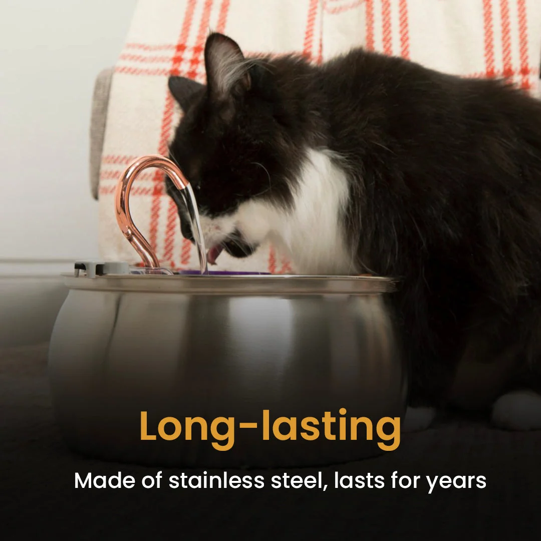 Big Cat Family Bundle: Health and Happiness Kit for Multi-Cat Homes