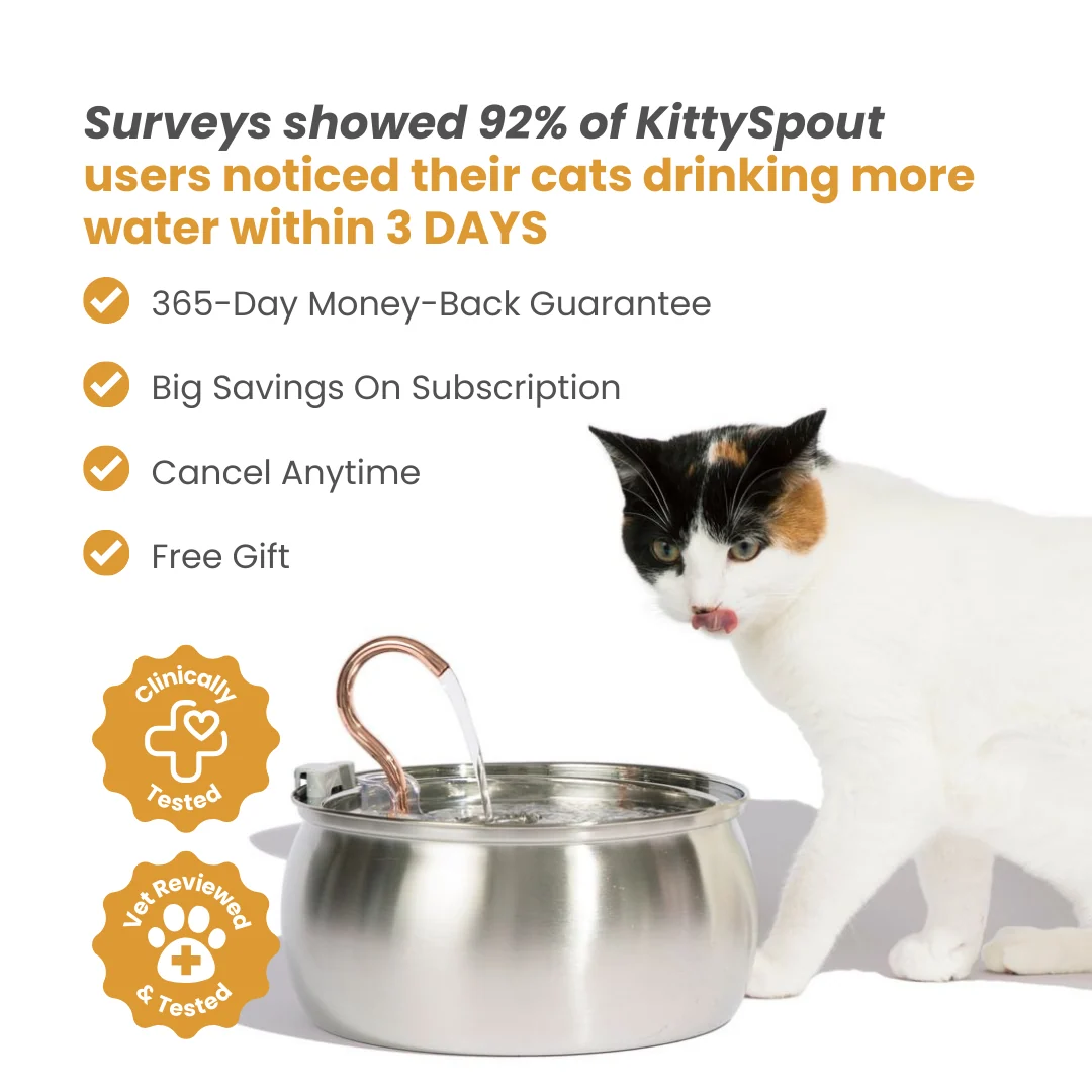 The KittySpout™ - 4L Fountain