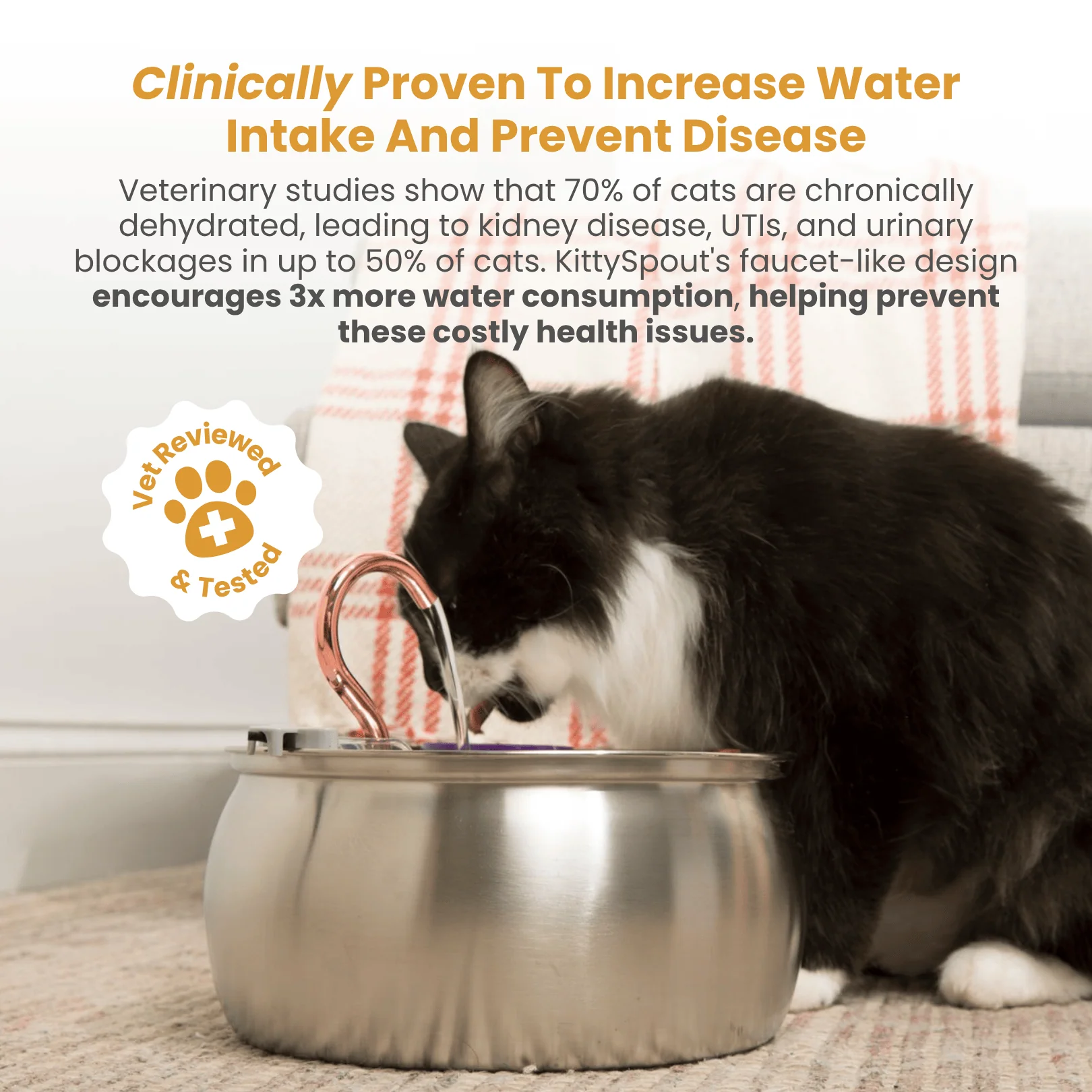 KittySpout Health & Happiness Cat Kit Bundle